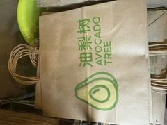 -油梨树AVOCADO TREE(顺义新国展店)