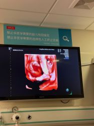 -杭州贝瑞斯美华妇儿医院·早孕·产检·儿科