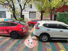 -翊宠yipet猫狗购宠庄园犬舍•猫舍