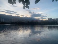 -兴盛大桥