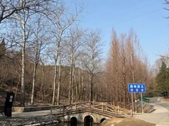 -白水寺森林公园