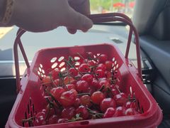 -品雅轩农家乐