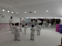 -极真空手道修远道场