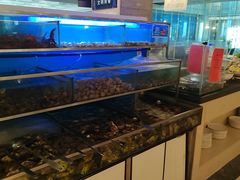 -海天一色海景自助餐厅(西港花园店)