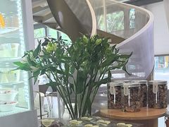 -夏佐CHASEL(横店康庄路店)