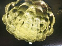 大厅顶灯-海龙中餐厅·传统广府味