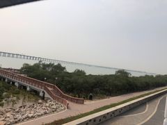 -宝安西湾红树林湿地公园