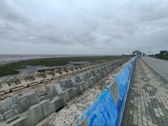 -南汇嘴观海公园