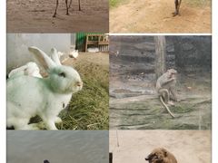 -杭州野生动物世界