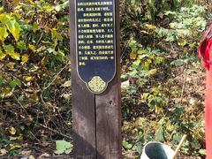 -千年银杏谷文化旅游区