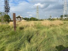 -王借岗森林公园