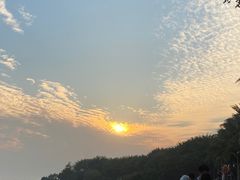 -深圳湾公园(南山区)