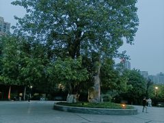 -龙头寺公园