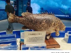 -千岛湖鱼味馆(十字街总店)
