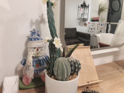 -净漪造型 PURE RIPPLE