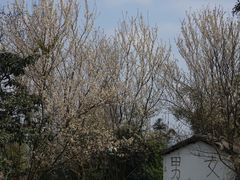 -樱桃山旅游景区