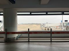 -海口鲁能希尔顿酒店-田园汇自助餐·三文鱼·海鲜