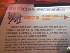 -正佳自然科学博物馆