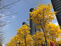 -大家乐(广州宝岗店)