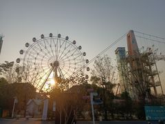 -花博汇(知音花月夜)
