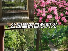 -达活泉公园