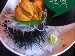 海胆刺身-鲤·鮨KOISUSHI
