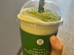 -茉酸奶(春熙路店)