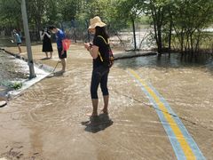 -永定河休闲森林公园