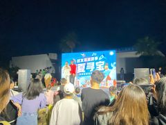 -柳湖沙月沙滩公园