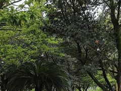 -荆州博物馆