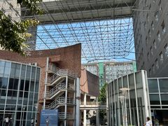 -中央民族大学
