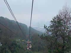 -茶颜悦色(岳麓山顶店)