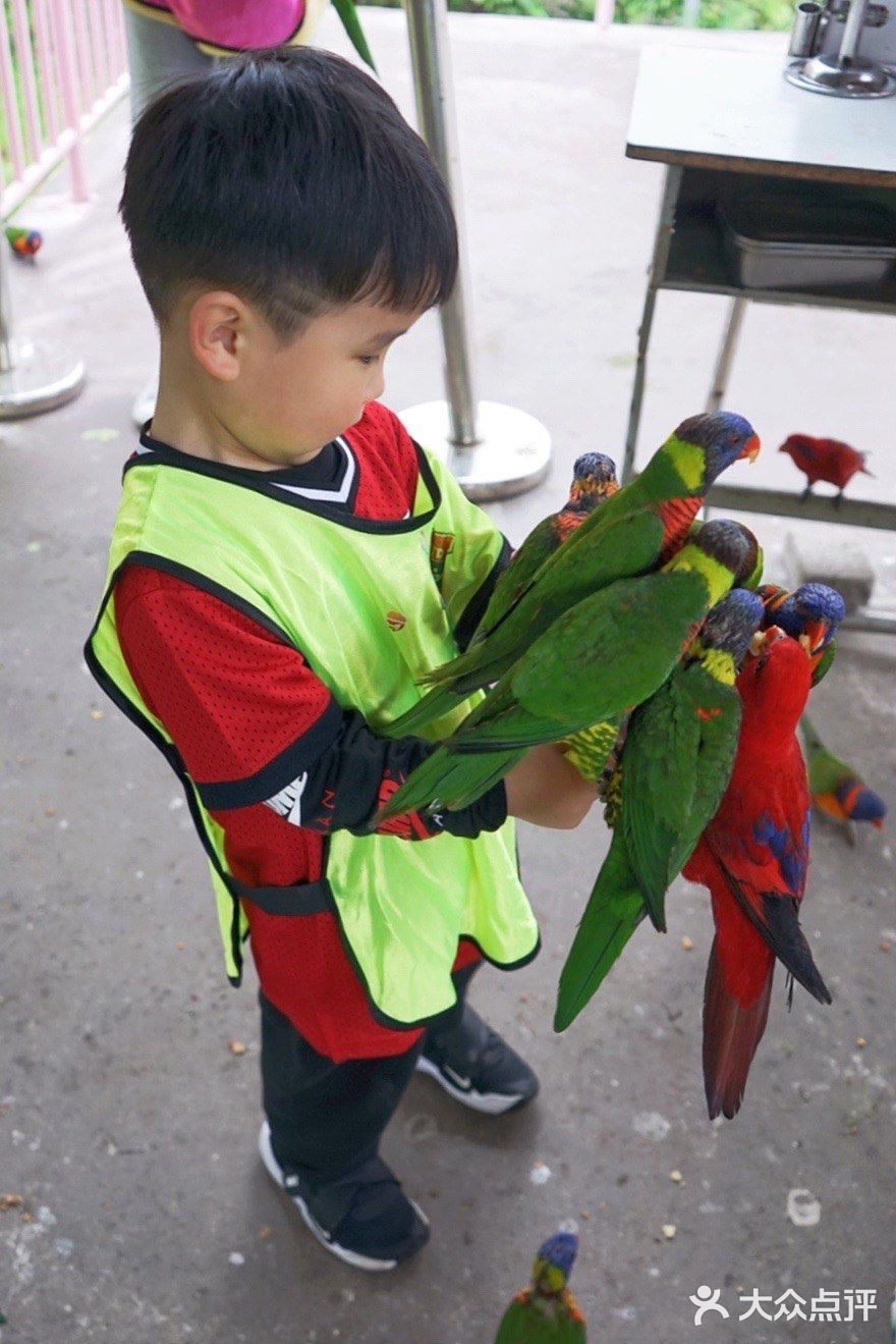 人生第一次 春游大作战