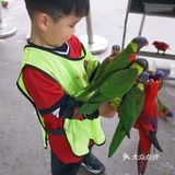 人生第一次 春游大作战