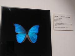 -上海昆虫博物馆