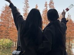 -白鹭湾湿地公园