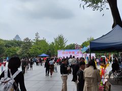 -沙市市中山公园