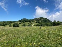 -白草畔自然风景区