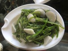 -阿兰白家宴