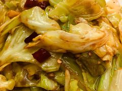 酱爆洋白菜-渔民船说·北塘海鲜·天津菜·海肠捞饭(北塘古镇店)