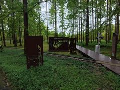 -黄海国家森林公园