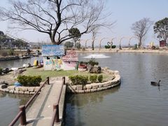 -鹅湖玫瑰文化园