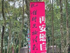 -梧桐山风景名胜区