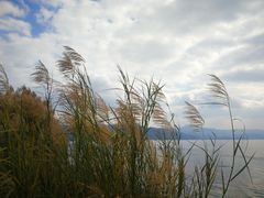 -抚仙湖禄充风景区