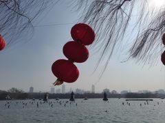 -济南大明湖景区