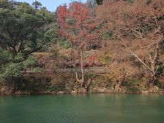 -上坦村
