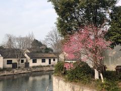 -绍兴大禹开元观堂-若耶厅