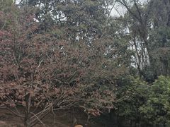 -宁波野生动物园