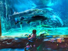 -华夏文旅海洋公园