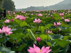 -云龙湖旅游景区